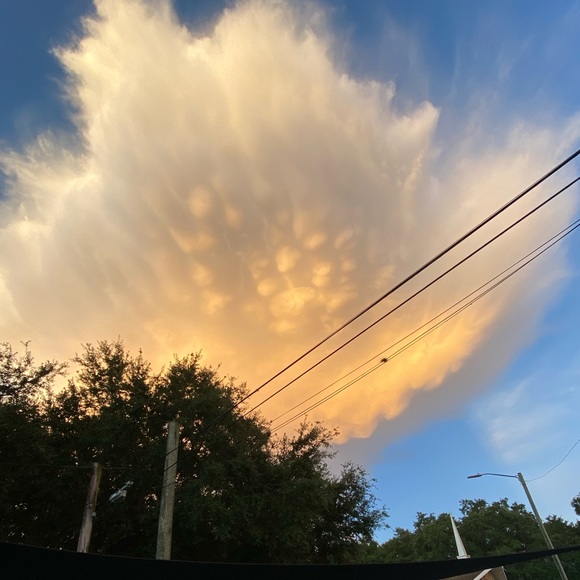 Meet your Posher, Marie - Picture 1 of 1